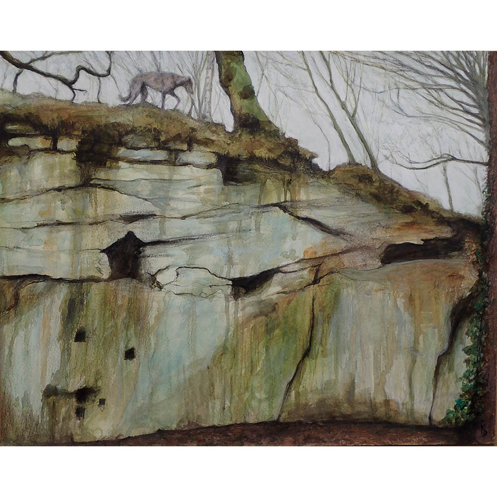 meanwood-quarry-wall